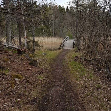 Spången efter Norreda torp. Markeringen på björken till vänster visar Upplandsleden