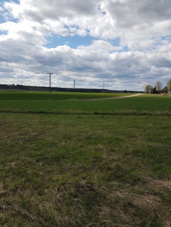 Vägen hem sedd från en rastplats vid sidan om vägen, riktning Halmbyboda/Norrhällby