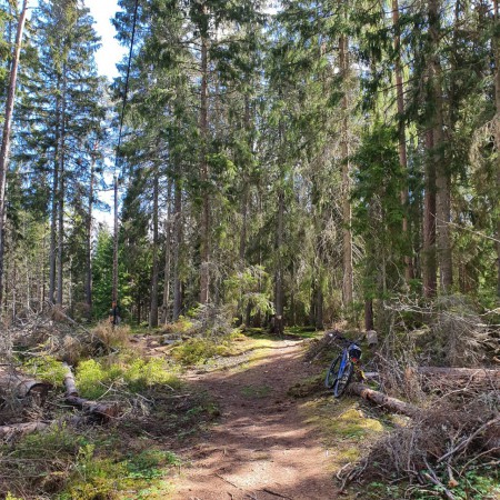 300 steg efter spången delar sig stigen. Till vänster upplandsleden, se elkabeln i luften.  Stigen till höger leder efter 50 meter till grusväg. Uppe på grusvägen svänger du vänster.