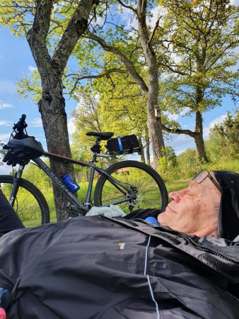 Är man över 60 får man sova middag. På gräset i äppelträdgården vid infarten till Hammarskog