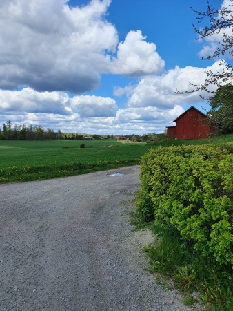 Uppe vid Klinta. Sväng höger. Kör förbi den röda ladan. Du ska mot Altuna längst bort vid det gula huset.