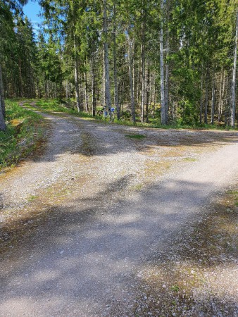 Sväng vänster upp i skogen