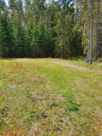 Vändplan. Fortsätt på stigen i bildens övre högre hörn