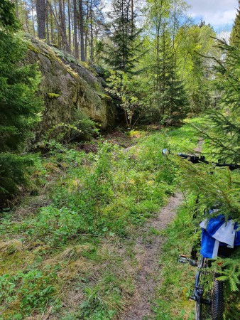 Vacker inramning av stigen