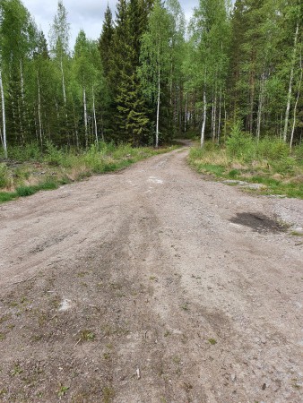 Rakt fram