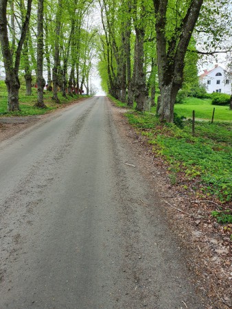 Uppförsbacke till Risberga. Sväng vänster efter lagården till vänster uppe på krönet.