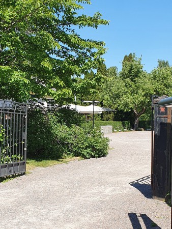 Fika i Botaniska trädgården