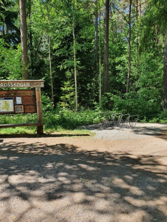 Sväng höger in på cykelvägen in i Stadsskogen