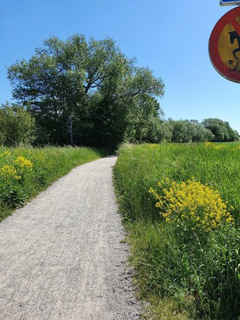 Gå mot Ultuna/Sunnersta