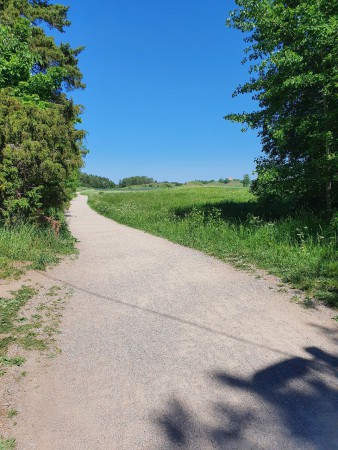 Gamla Uppsala vid horisonten