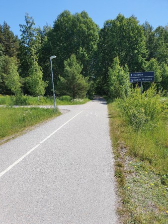 Sväng vänster mot Gamla Uppsala