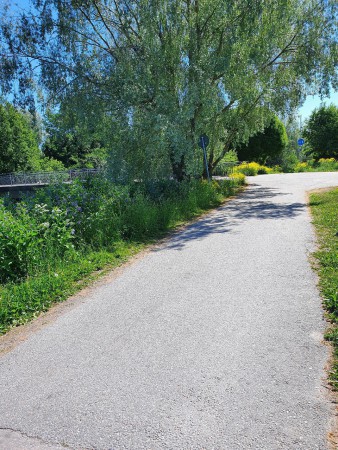 Framme vid bron, vänster mot Gamla Uppsala