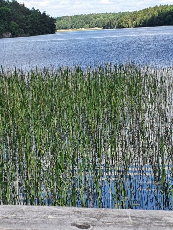 Utsikten norrut, mot Fjällnora
