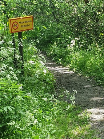 Fortsätt rakt fram