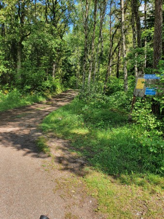 Sväng höger bort från torpet