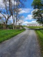 /album/bildgalleri-wiks-slott-76-km1/a20200520-144555-jpg/