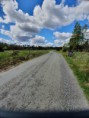 /album/bildgalleri-wiks-slott-76-km1/a20200520-105944-jpg/