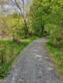 /album/bildgalleri-wiks-slott-76-km1/a20200520-101919-jpg/