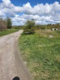 /album/bildgalleri-wiks-slott-76-km1/a20200520-101756-jpg/