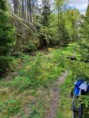 /album/bildgalleri-fjallnora-uppsala-svar-att-hitta-svar-att-cykla/a20200524-114459-jpg/