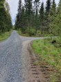 /album/bildgalleri-fjallnora-lang-60-km/a20200527-132756-jpg/