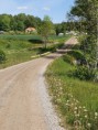 /album/bildgalleri-balinge-bjorklinge-71-km1/a20200603-114023-jpg/
