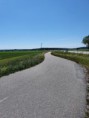 /album/bildgalleri-maraton-runt-uppsala-42-km/a20200613-123718-jpg/