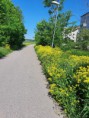 /album/bildgalleri-maraton-runt-uppsala-42-km/a20200613-110138-jpg/