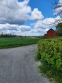 /album/bildgalleri-balinge-bjorklinge-71-km1/a20200520-110439-jpg1/