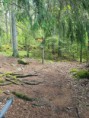 /album/bildgalleri-fjallnora-kort-47-km1/a20200618-121406-jpg/