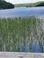 /album/bildgalleri-fjallnora-kort-47-km1/a20200618-121111-jpg/