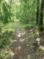 /album/bildgalleri-fjallnora-kort-47-km1/a20200618-120706-jpg/